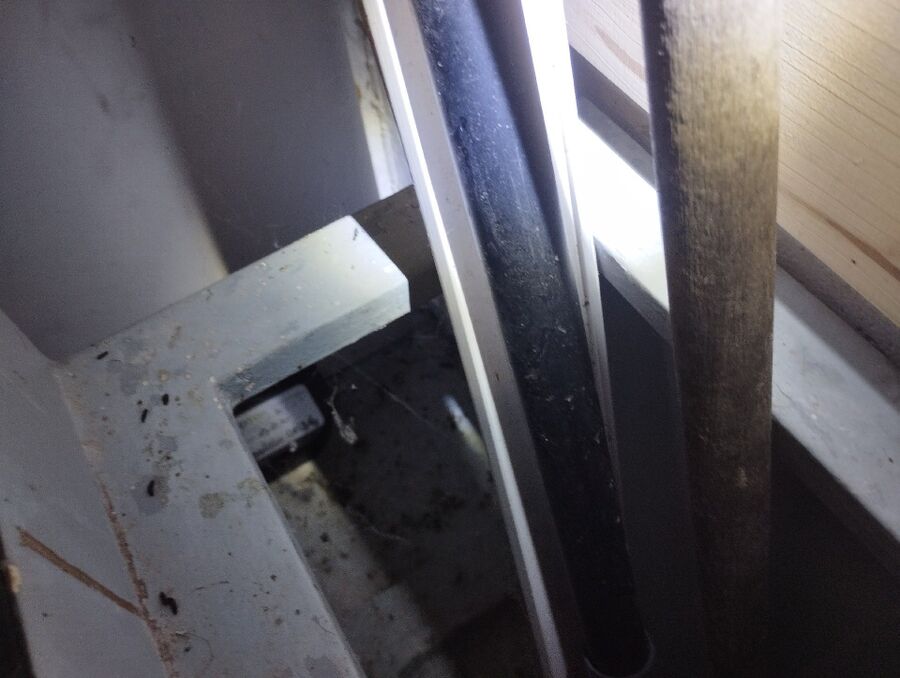 Kammerjaeger-Benken (SG)-Beratung.jpg