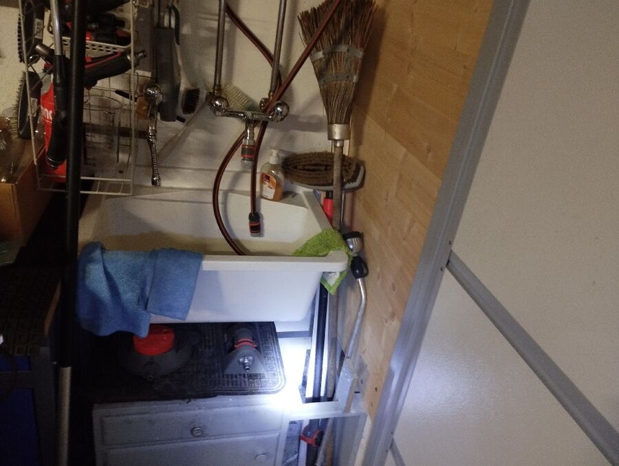 Kammerjaeger-Berg (SG)-Beratung.jpg