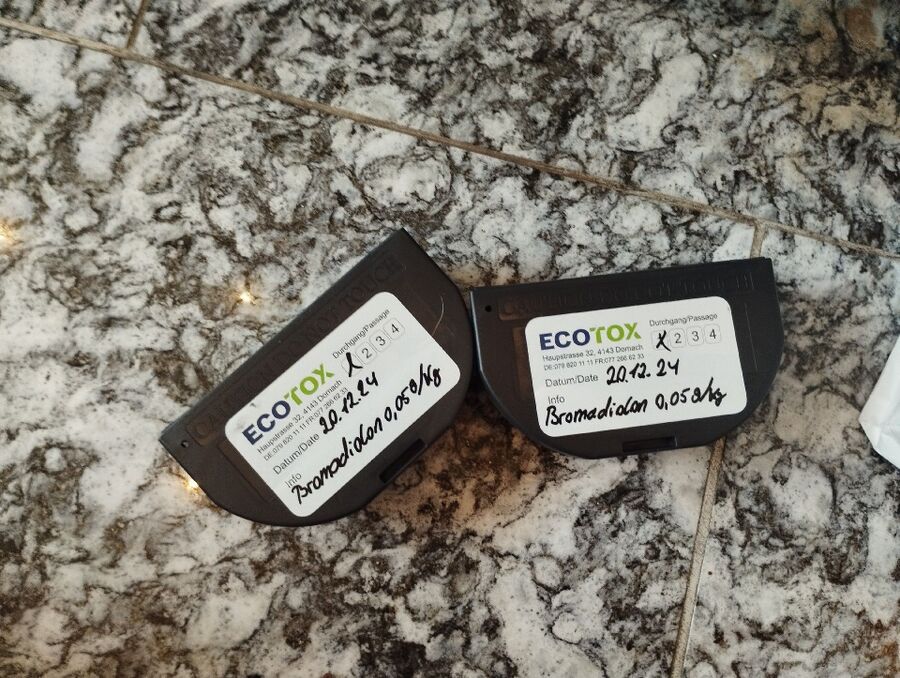 Kammerjaeger-Buchs (SG)-Beratung.jpg