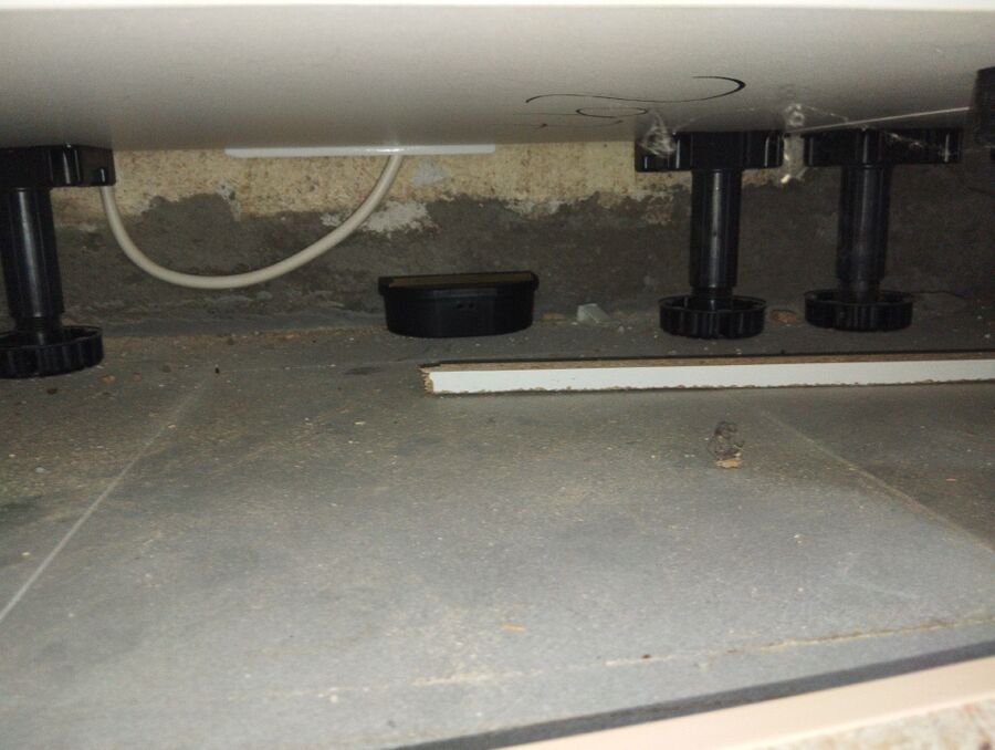 Kammerjaeger-Hasle bei Burgdorf-Beratung.JPG