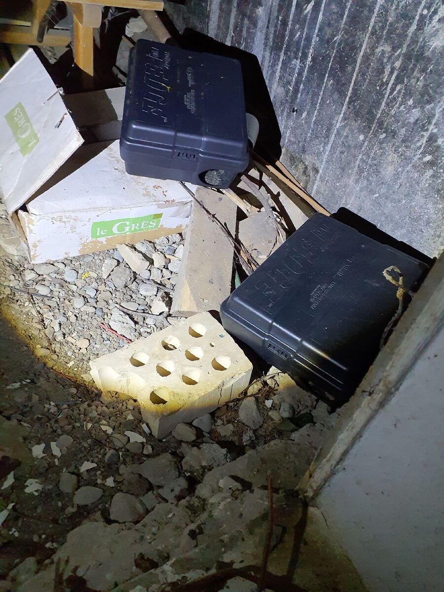 Kammerjaeger-Hofstetten bei Brienz-Beratung.JPG