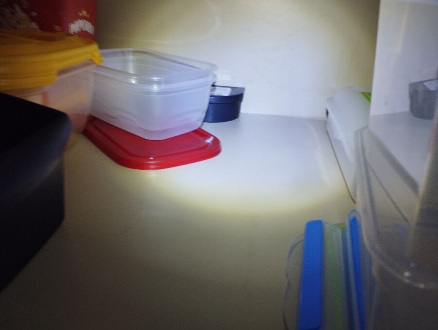 Kammerjaeger-Muri bei Bern-Beratung.JPG