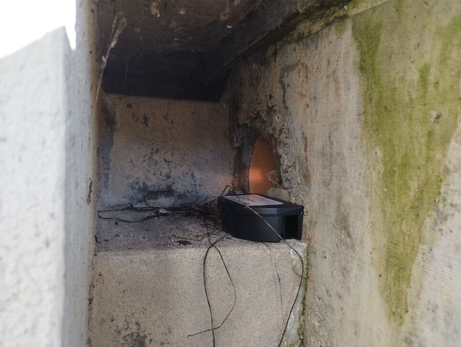 Kammerjaeger-Oberwil im Simmental-Beratung.JPG