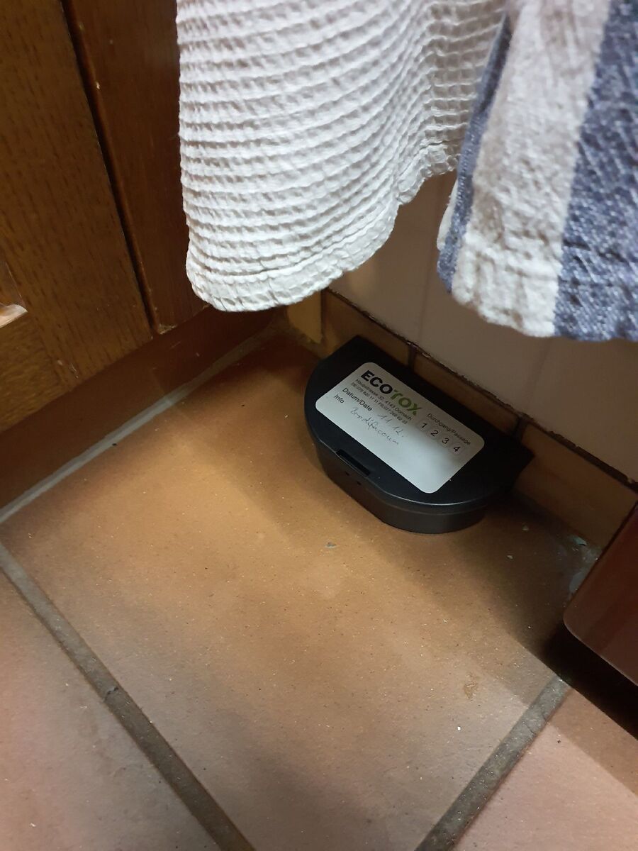 Kammerjaeger-Roggwil (BE)-Beratung.JPG