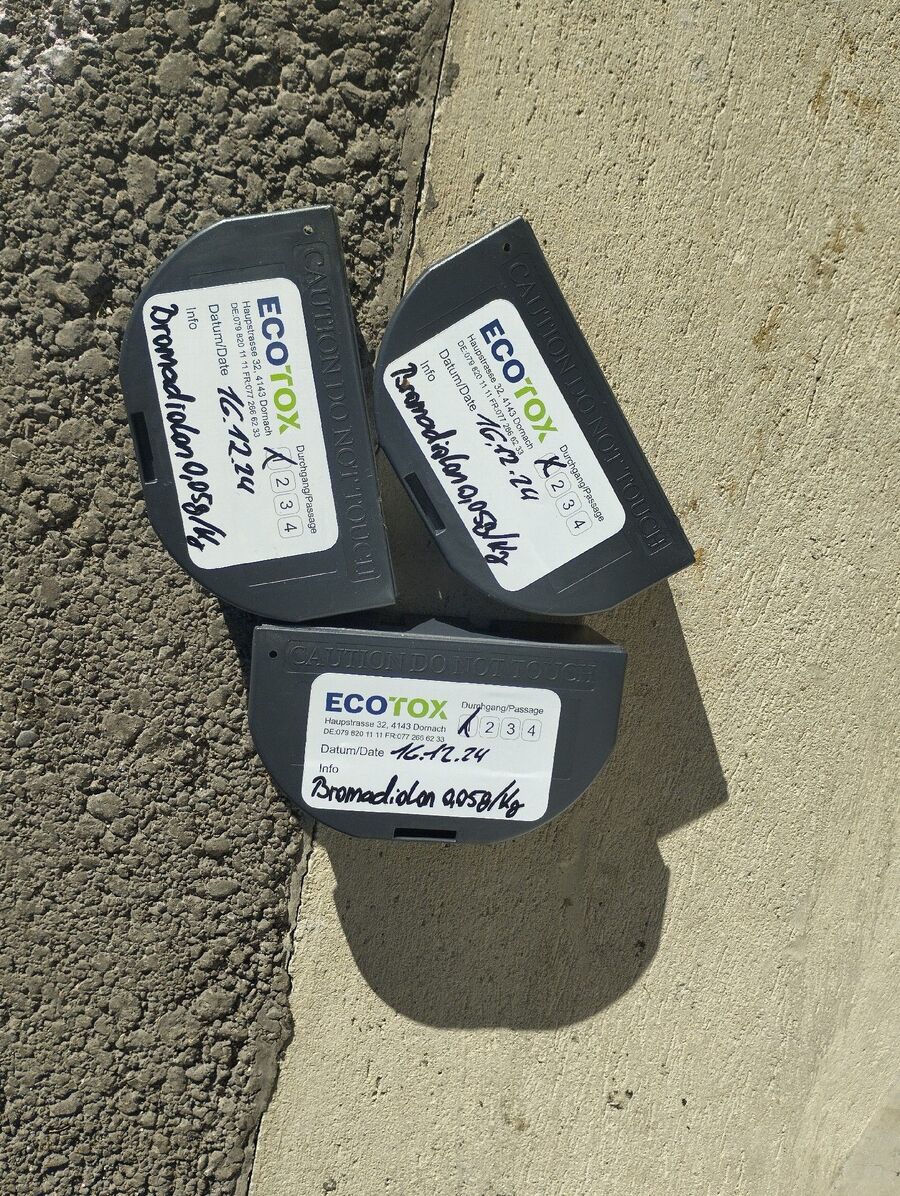 Kammerjaeger-Schwanden bei Brienz-Beratung.JPG