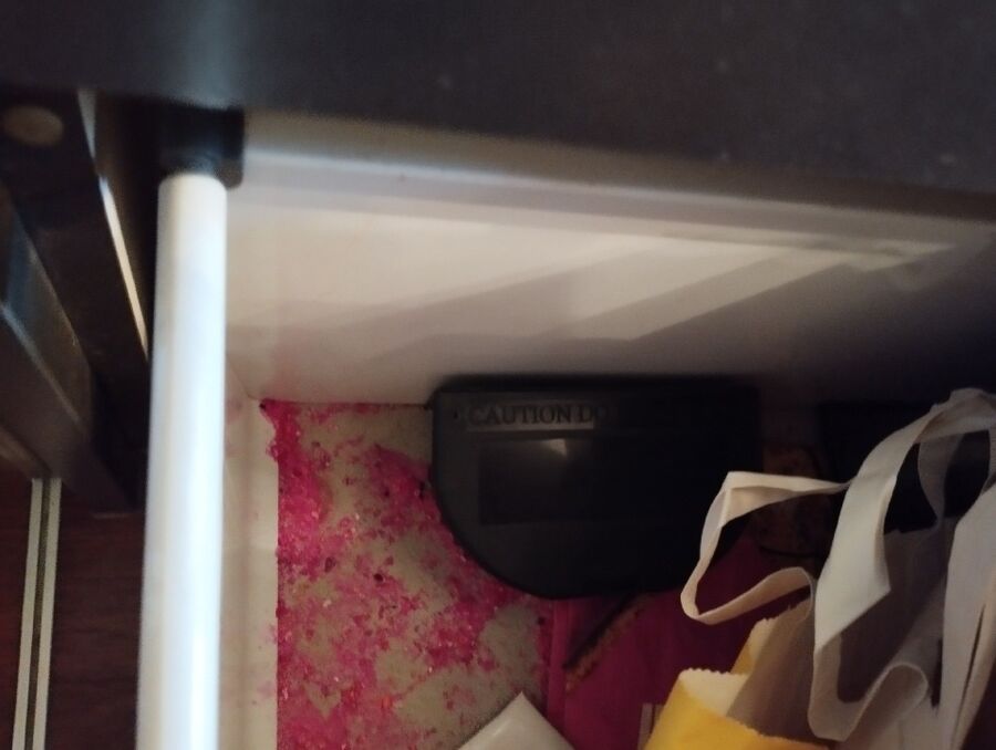 Ratten_bekaempfung_ratten_vertreiben (418).jpeg