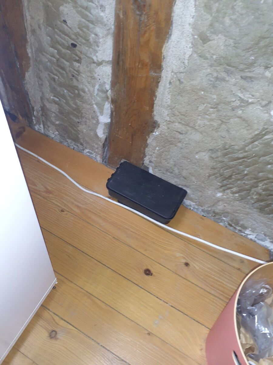 Kammerjaeger-Stetten (AG)-Beratung.jpg