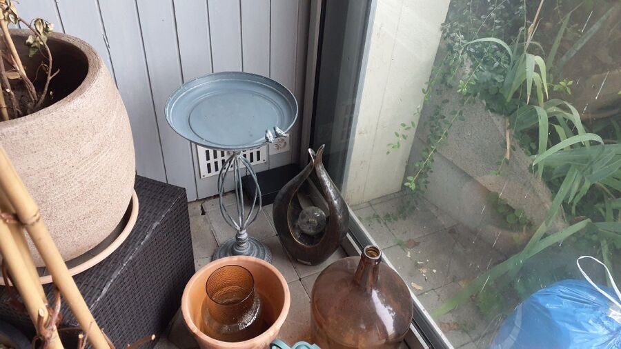 Kammerjaeger-Rickenbach (TG)-Beratung.jpg