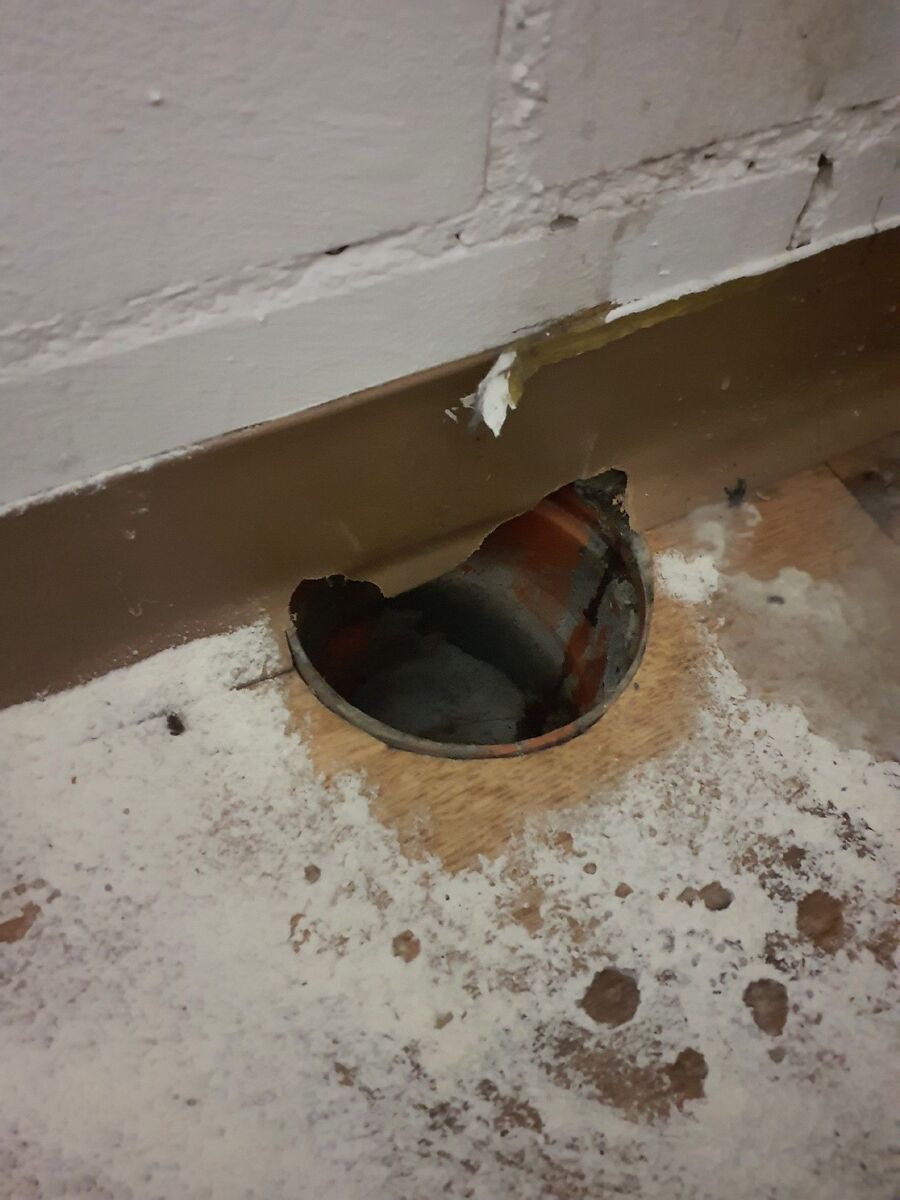 Kammerjaeger-Teufen (AR)-Beratung.jpg