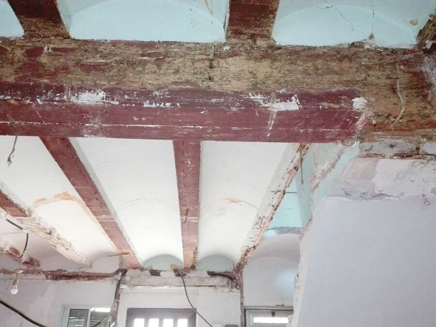 Kammerjäger für Termiten