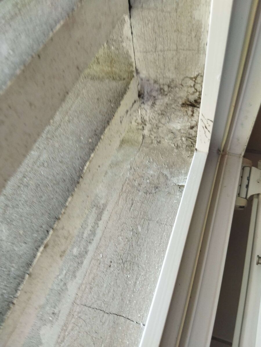 Kammerjaeger-in-Erlenbach im Simmental.jpg