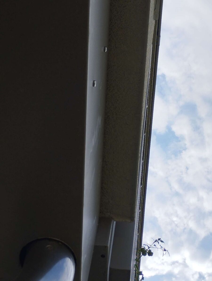 Kammerjaeger-in-Kirchdorf (BE).jpg