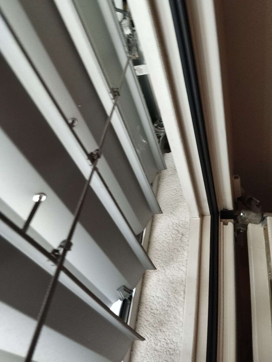 Wespennest_Entfernen (2226).jpeg