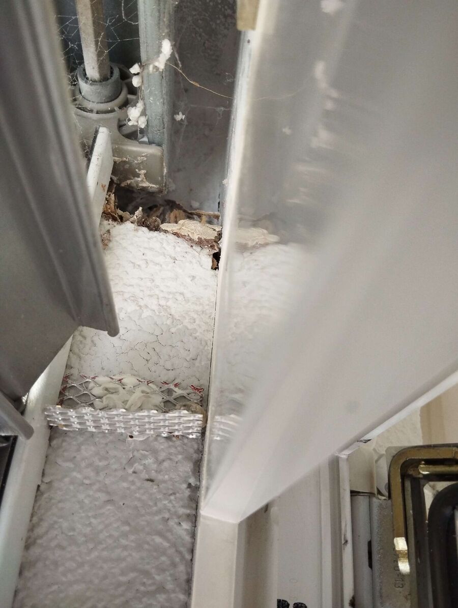 Kammerjaeger-in-La Neuveville.jpg