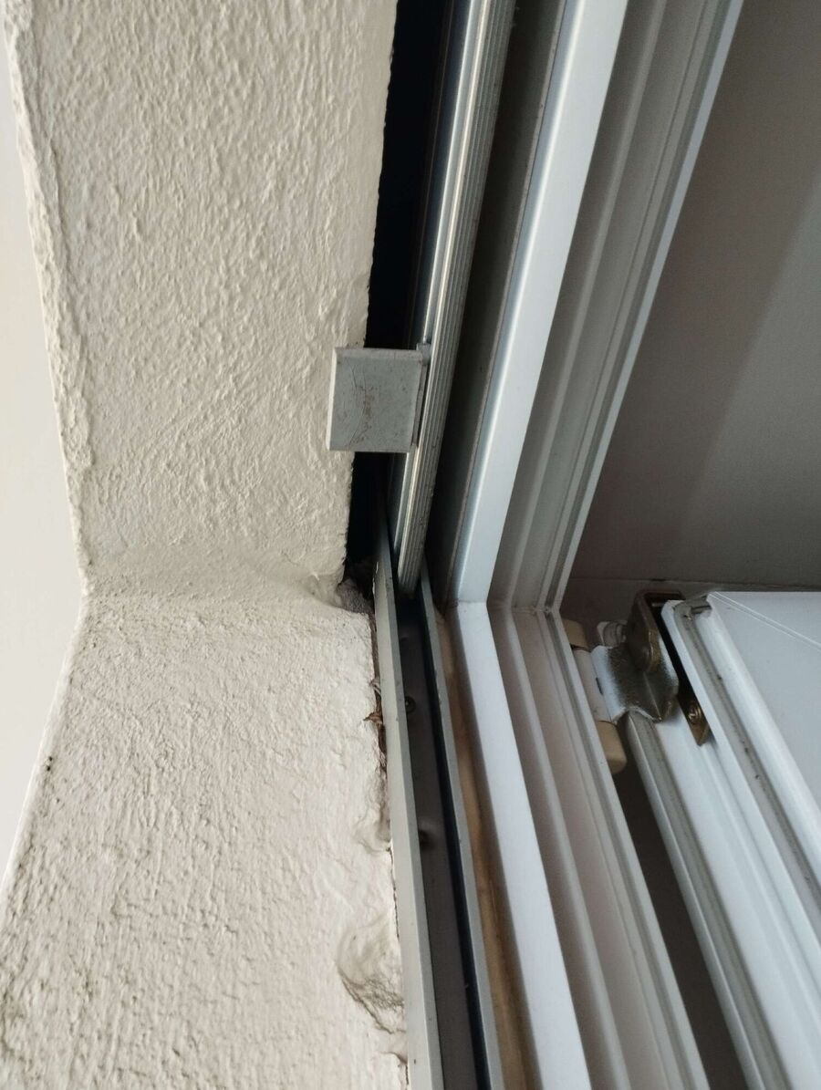 Wespennest_Entfernen (2236).jpeg