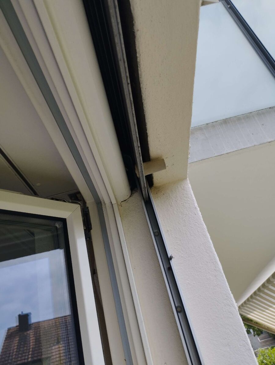 Kammerjaeger-in-Langnau im Emmental.jpg