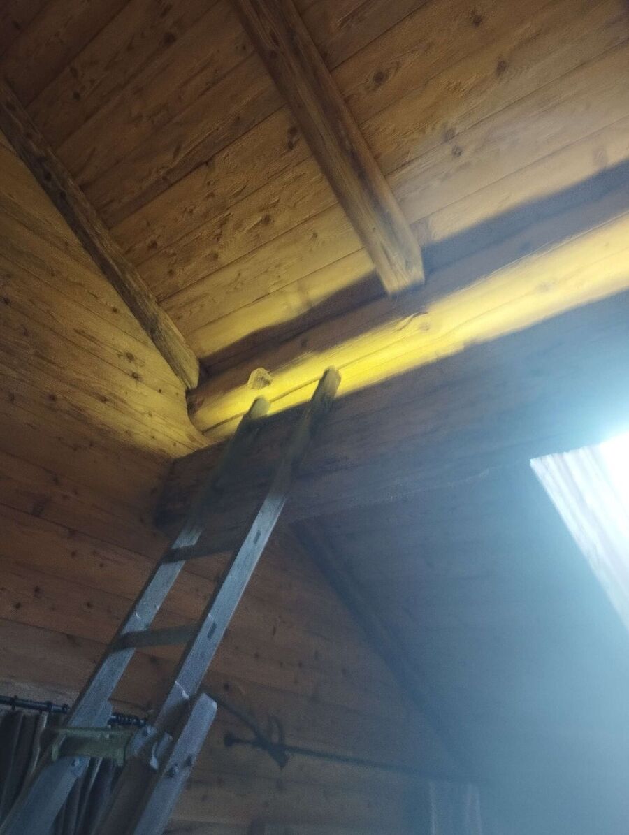 Kammerjaeger-in-Matten bei Interlaken.jpg