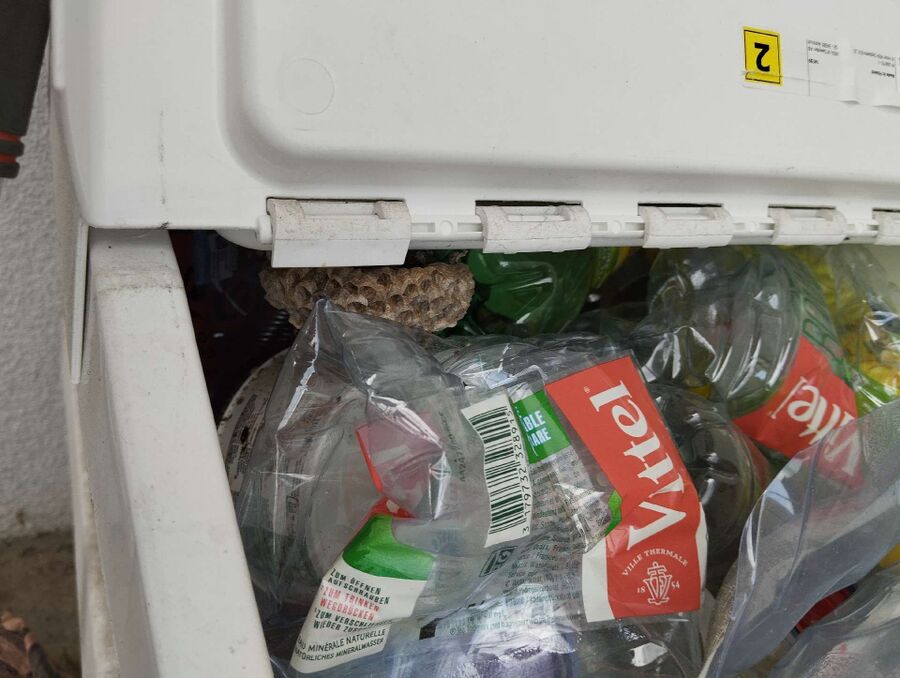 Kammerjaeger-in-Oberried am Brienzersee.jpg