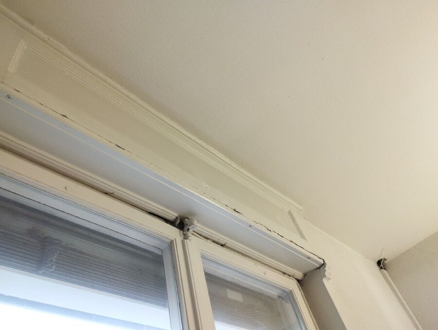 Kammerjaeger-in-Plateau de Diesse.jpg