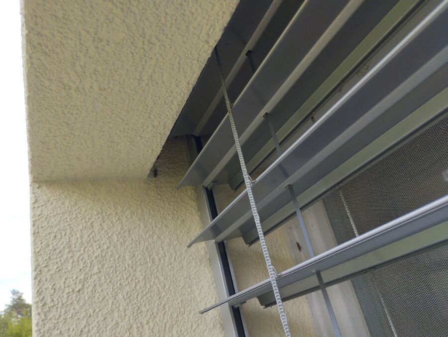 Kammerjaeger-in-Reichenbach im Kandertal.jpg