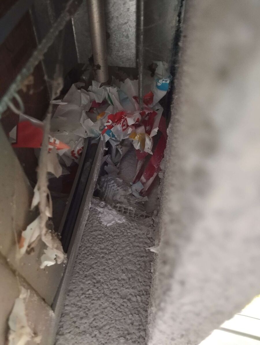 Kammerjaeger-in-Romont (BE).jpg