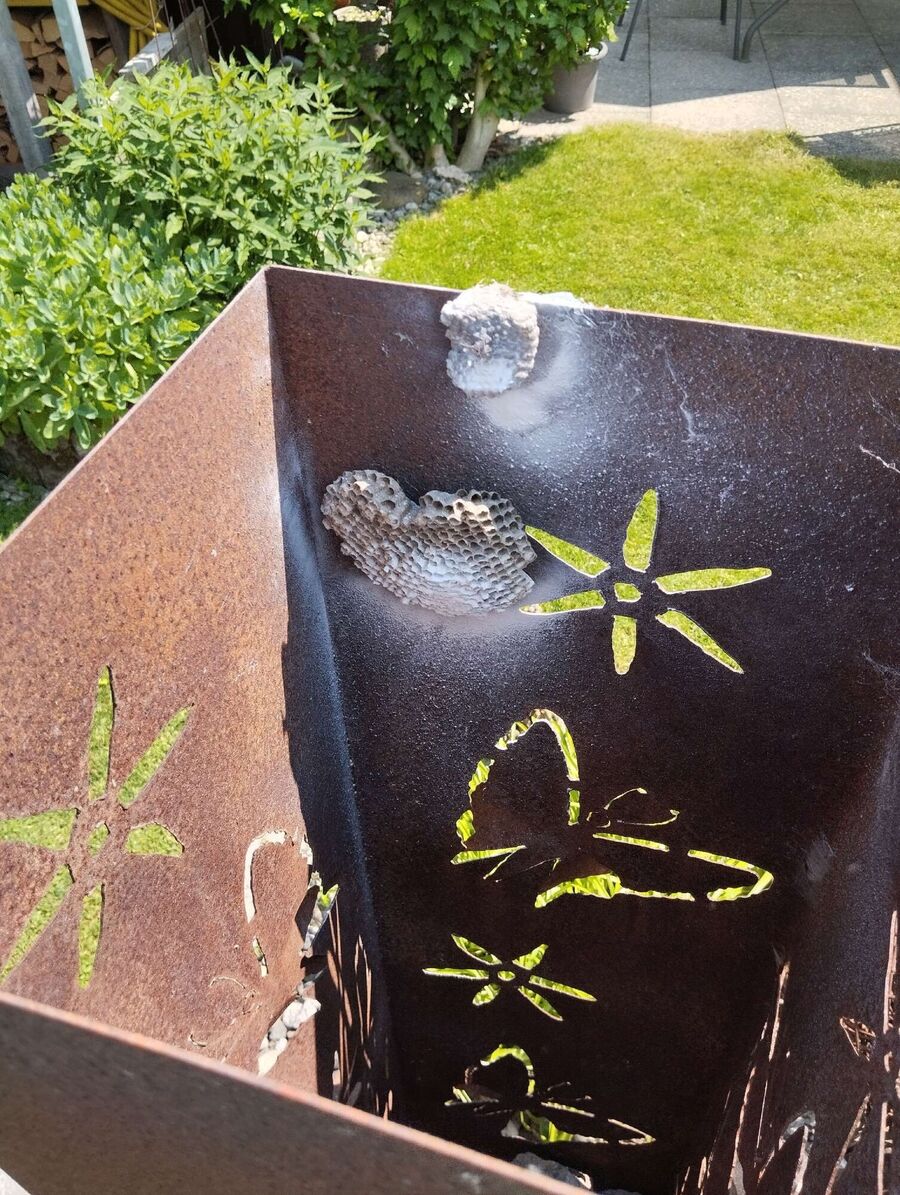 Kammerjaeger-in-Röthenbach im Emmental.jpg