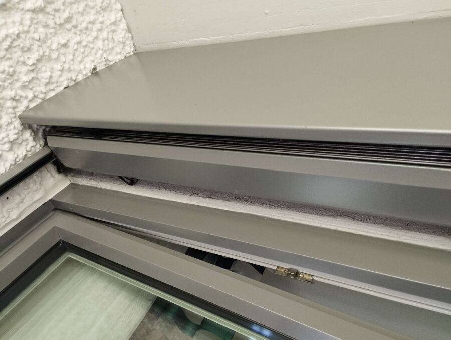 Kammerjaeger-in-Rüti bei Lyssach.jpg