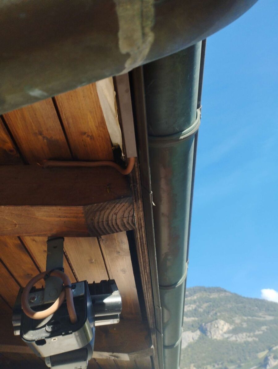 Kammerjaeger-in-Studen (BE).jpg