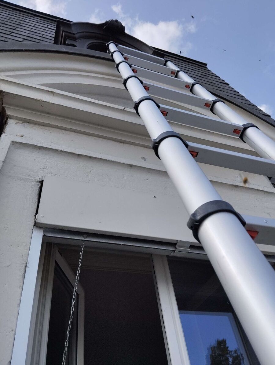 Kammerjaeger-in-Teuffenthal (BE).jpg