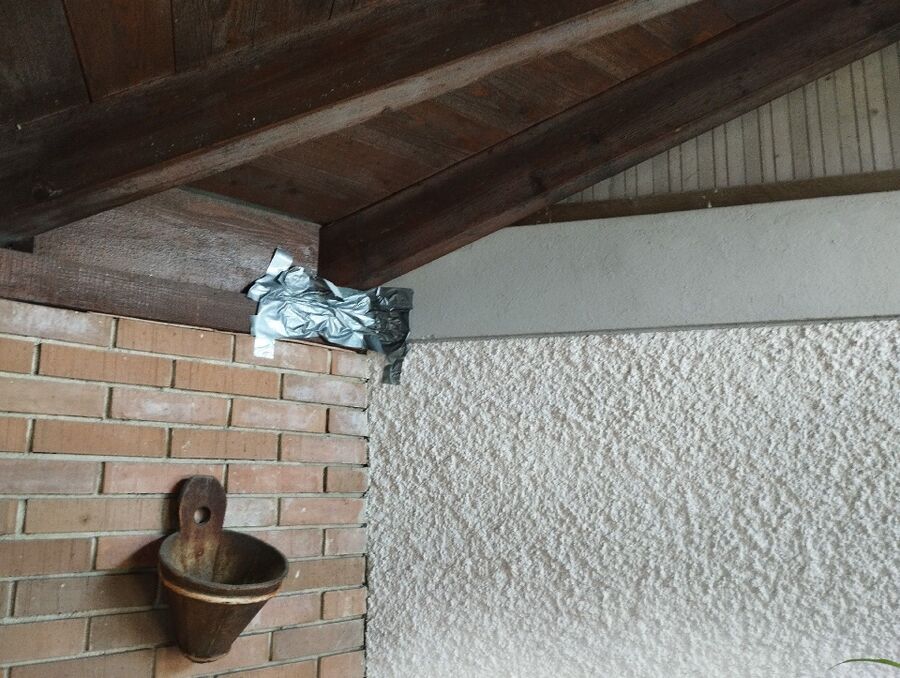 Kammerjaeger-in-Wiler bei Utzenstorf.jpg