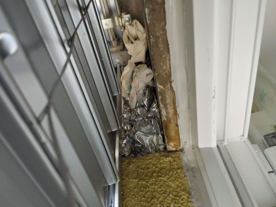 Kammerjaeger-in-Rickenbach (LU).jpg