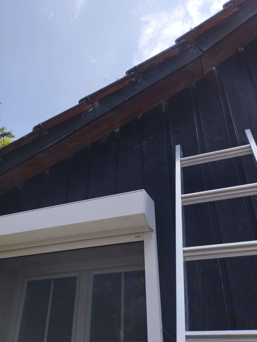 Kammerjaeger-in-Aeschi (SO).jpg