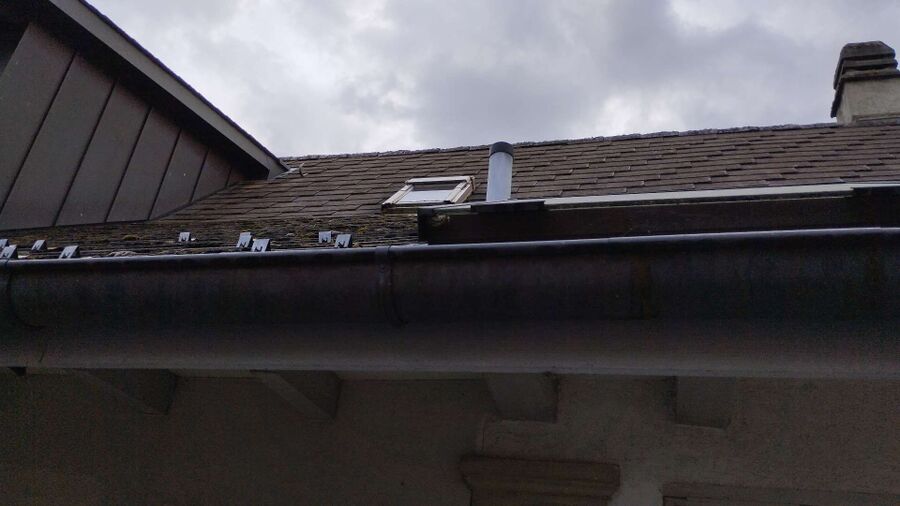 Kammerjaeger-in-Balm bei Günsberg.jpg