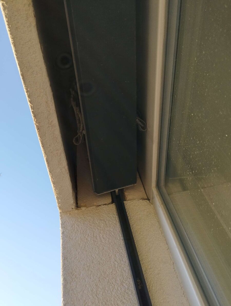 Kammerjaeger-in-Holderbank (SO).jpg