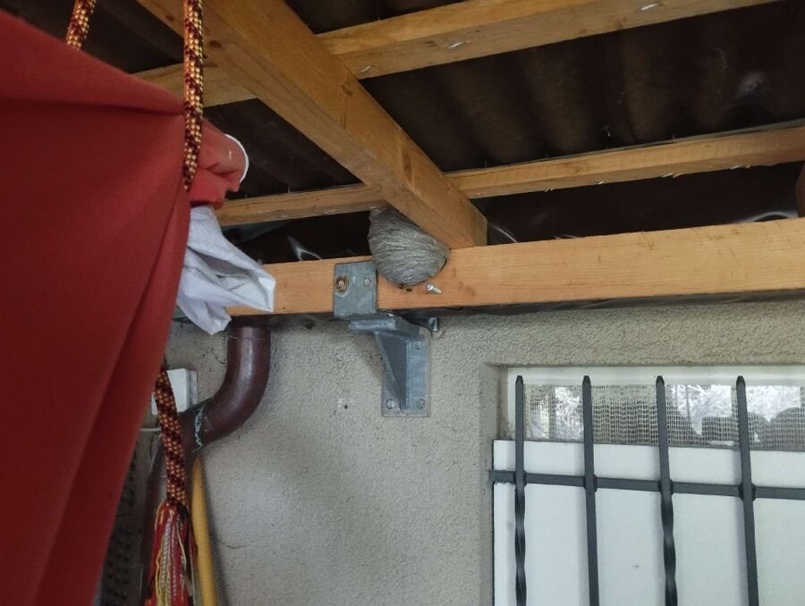 Kammerjaeger-in-Nuglar-St. Pantaleon.jpg