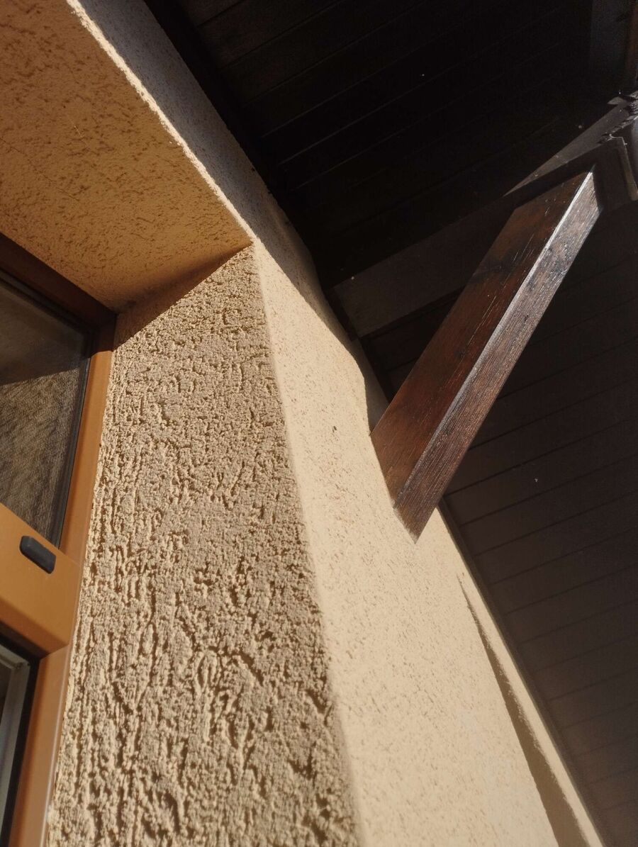 Kammerjaeger-in-Kilchberg (BL).jpg