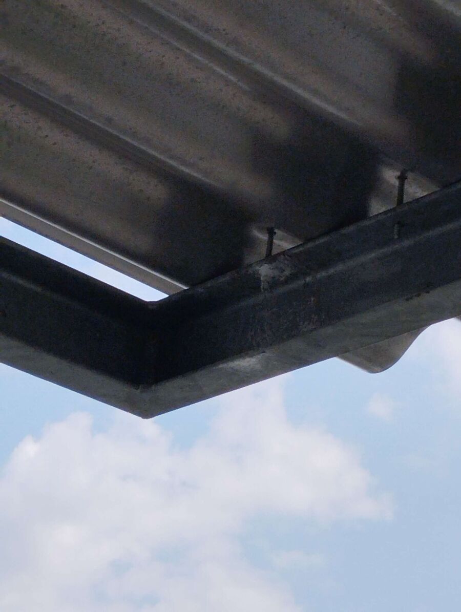 Kammerjaeger-in-Bad Ragaz.jpg