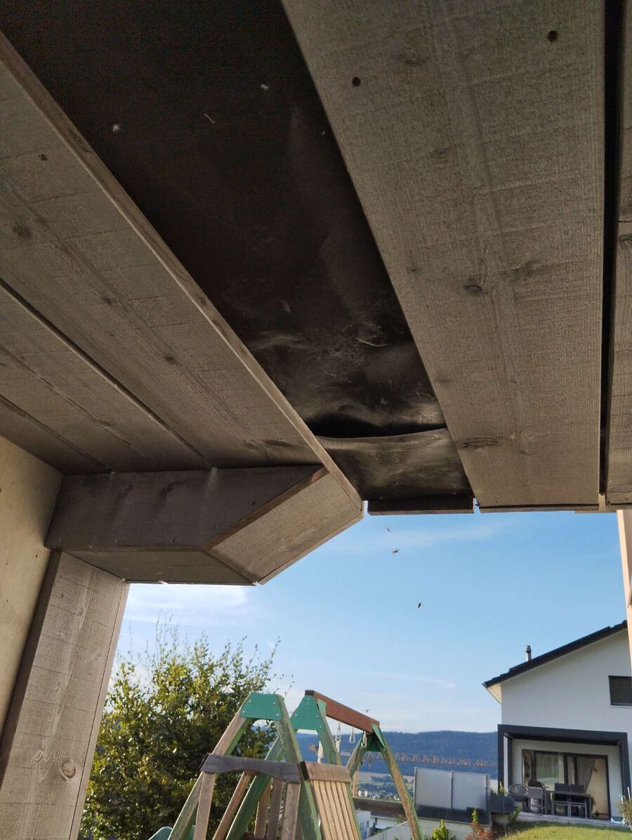 Kammerjaeger-in-Oberriet (SG).jpg