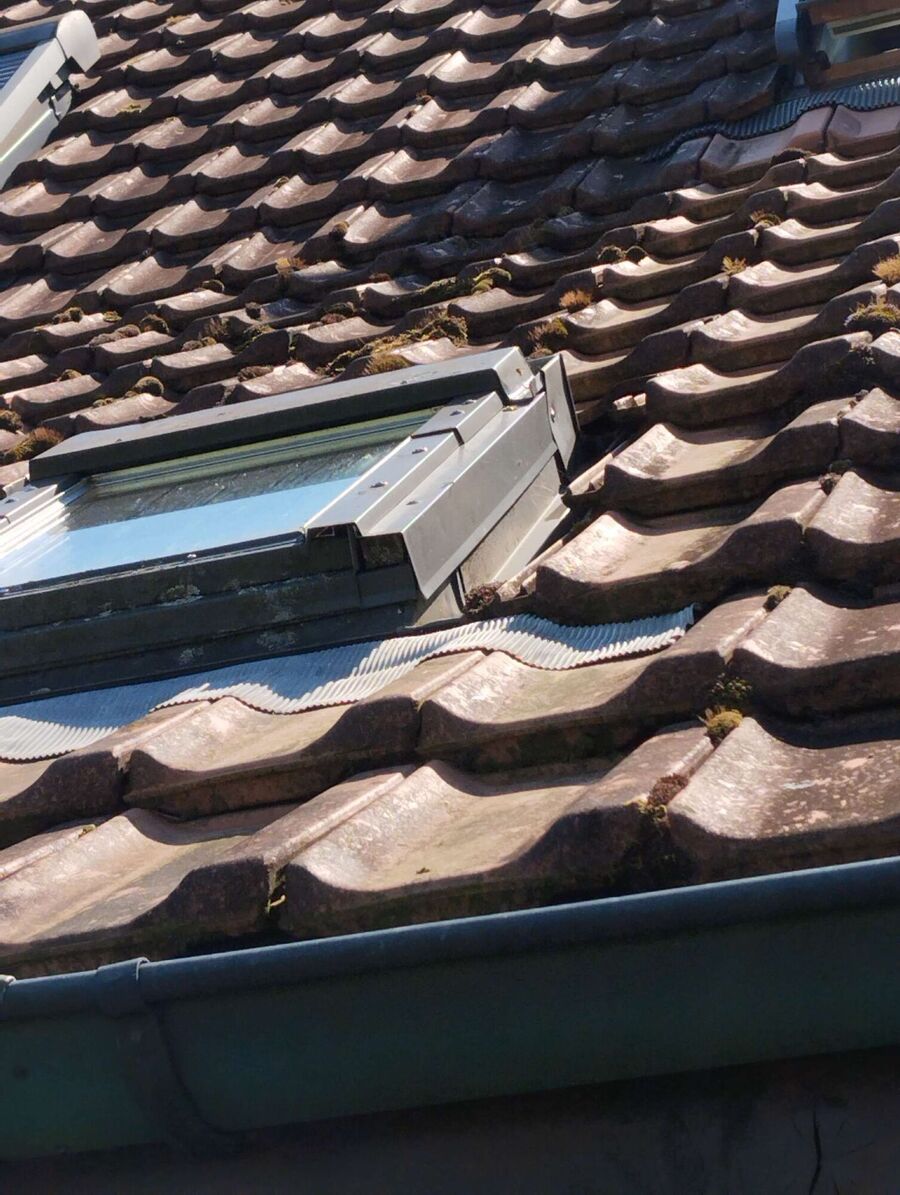 Kammerjaeger-in-Conters im Prättigau.jpg