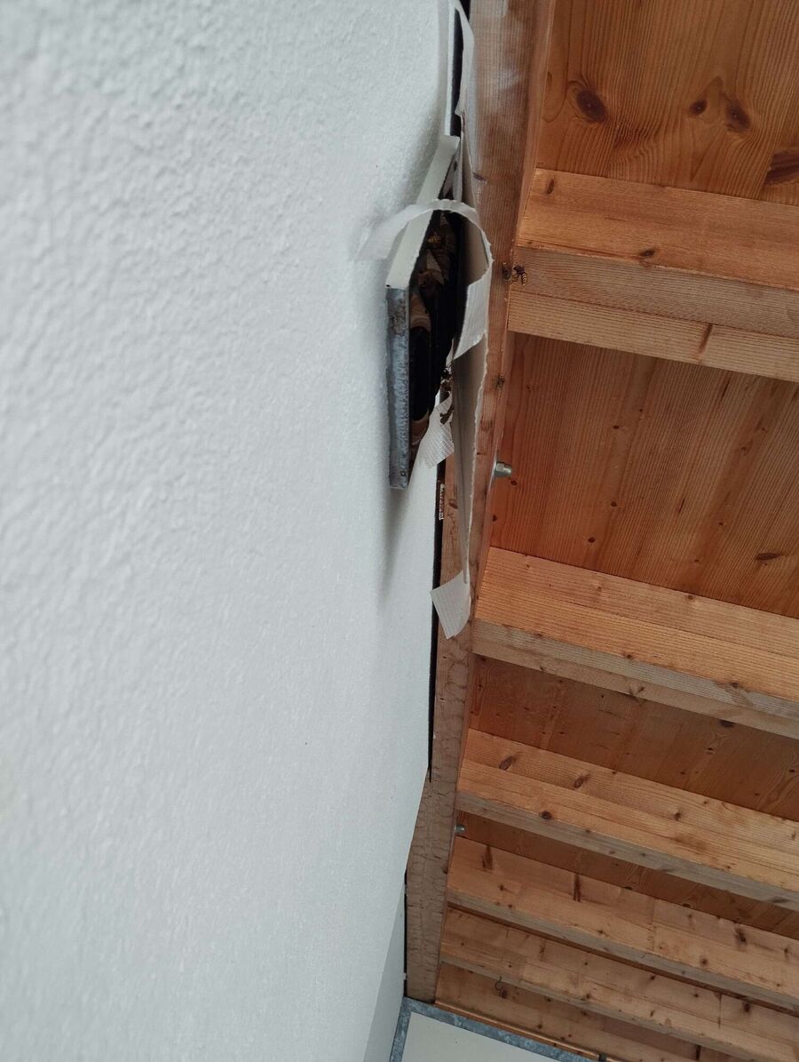 Kammerjaeger-in-La Punt Chamues-ch.jpg