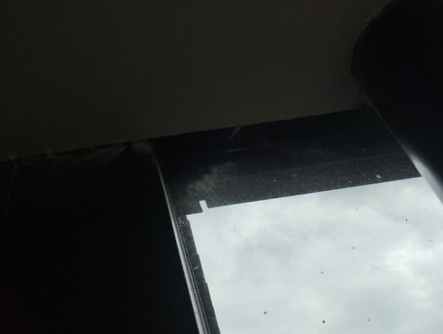 Kammerjaeger-in-Medel (Lucmagn).jpg