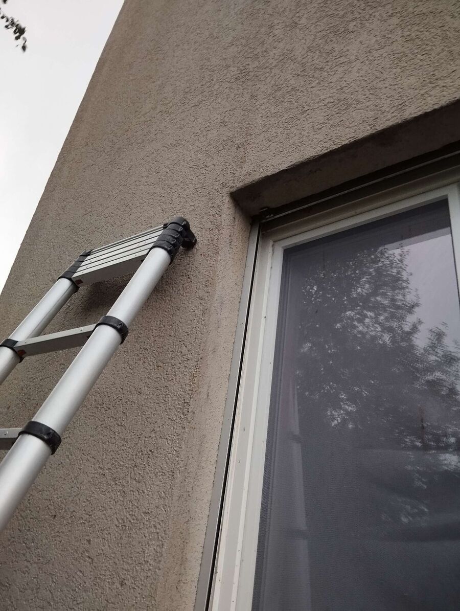 Kammerjaeger-in-Roveredo (GR).jpg