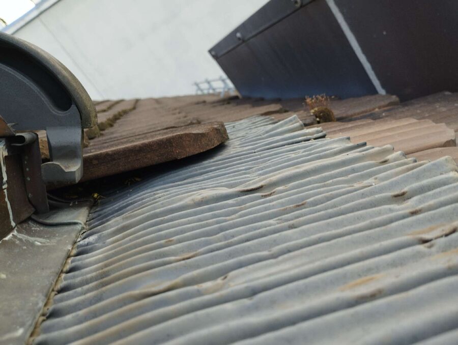 Kammerjaeger-in-Santa Maria in Calanca.jpg