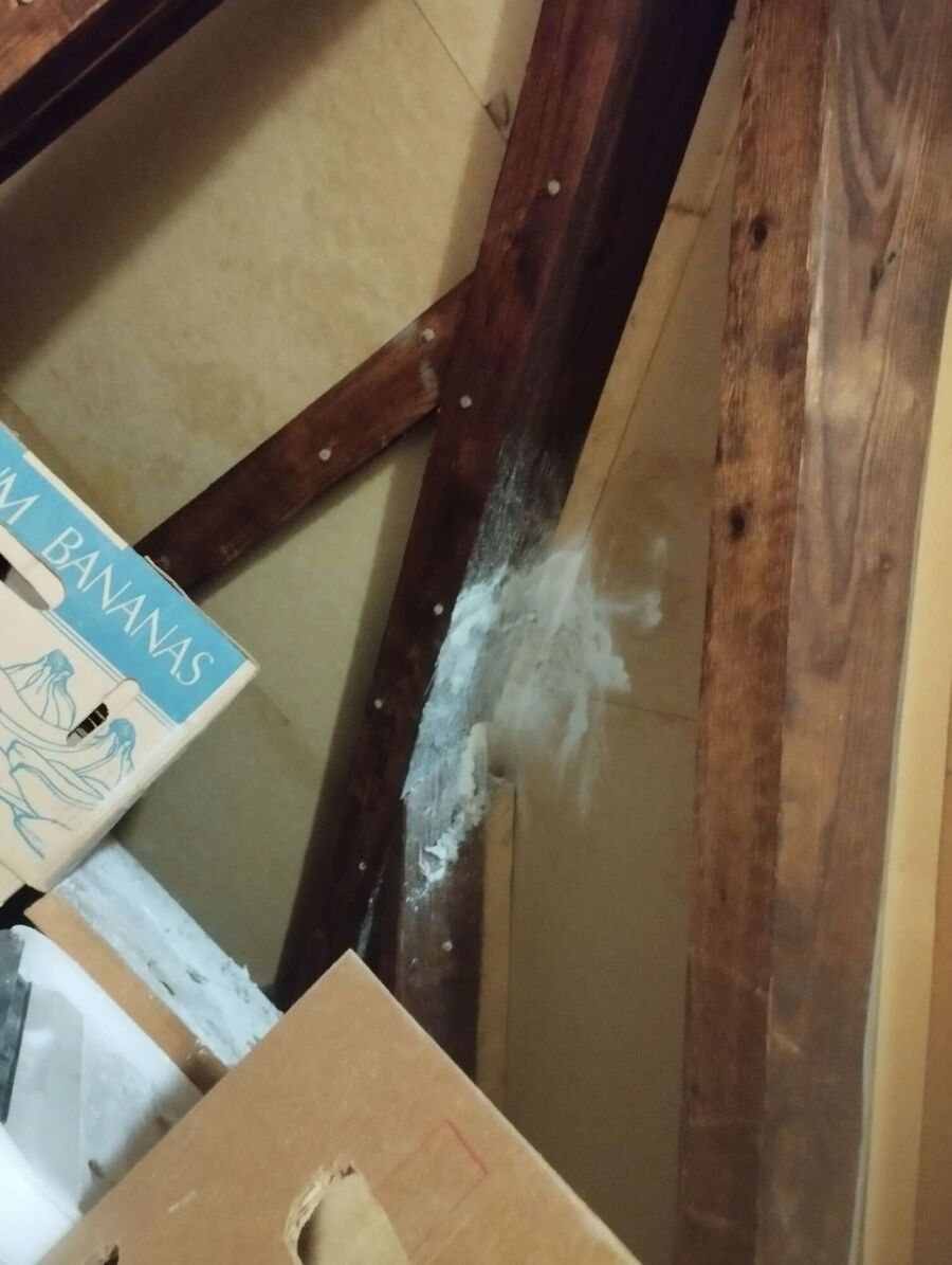 Kammerjaeger-in-Sils im Domleschg.jpg