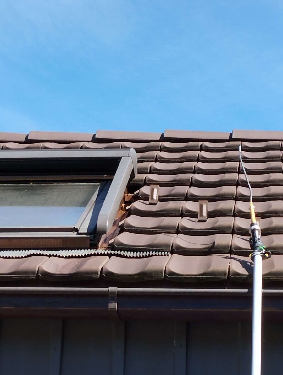 Kammerjaeger-in-St. Moritz.jpg