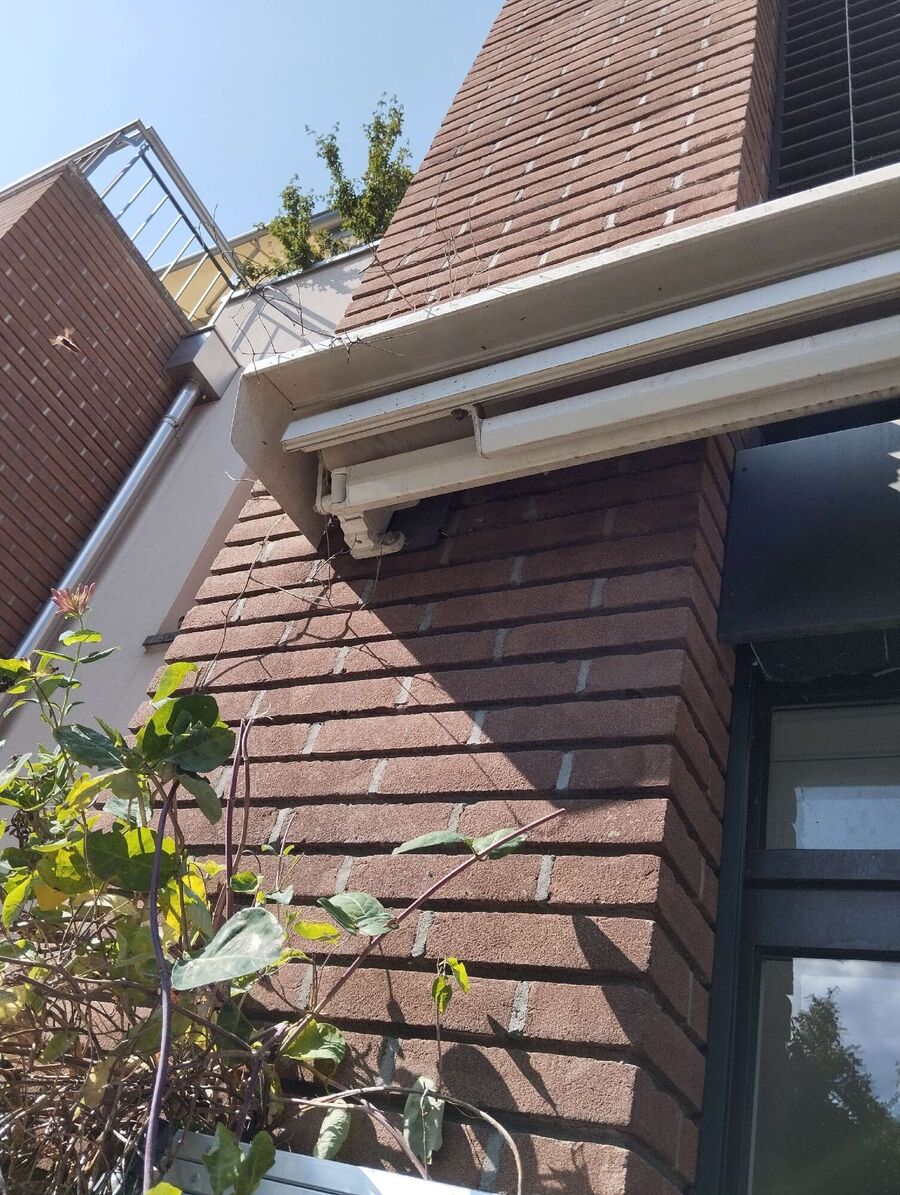 Kammerjaeger-in-Stein (AG).jpg