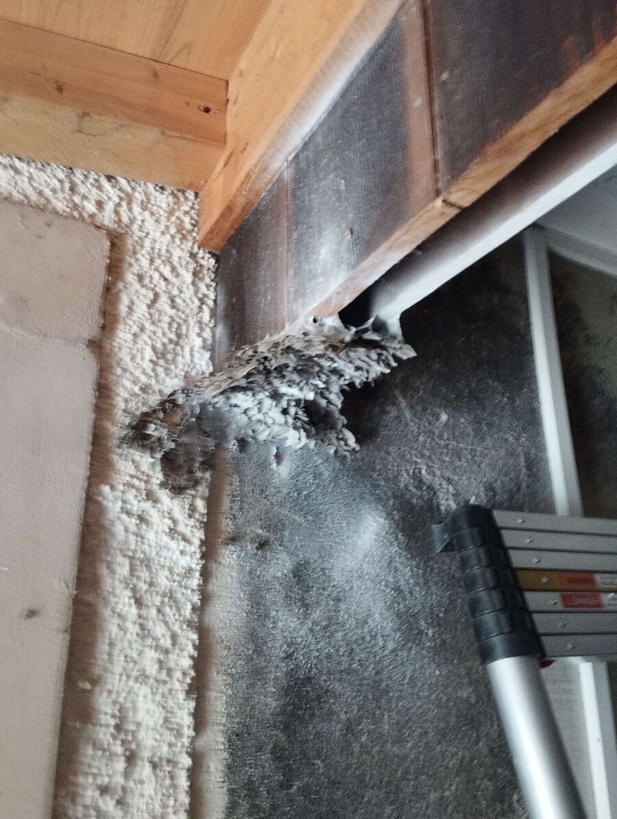 Kammerjaeger-in-Thalheim (AG).jpg