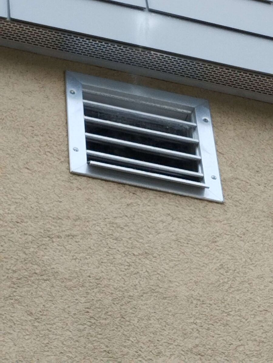 Kammerjaeger-in-Rickenbach (TG).jpg