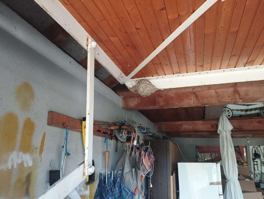 Kammerjaeger-in-Wangen (SZ).jpg