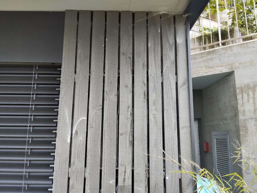 Kammerjaeger-in-Altdorf (UR).jpg